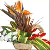 Pick Me - Click here to View more details about this Product